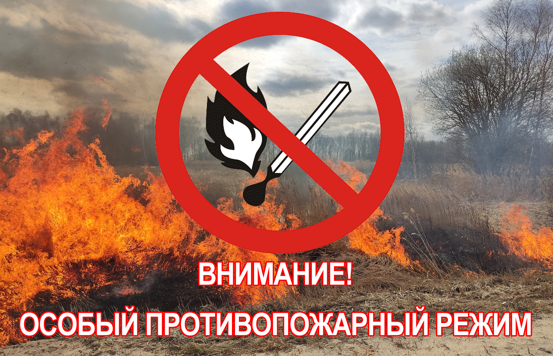 Об установлении особого противопожарного режима в лесах, об ограничении пребывания граждан в лесах и въезда в них транспортных средств и проведения в лесах определенных видов работ в целях обеспечения пожарной безопасности в лесах.