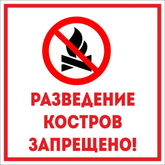В Кировской области запретили костры и мангалы. В Кировской области запретили костры и мангалы.
