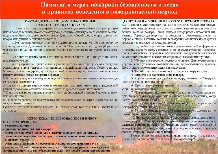 Правила пожарной безопасности в лесах.